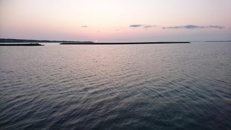 イケカツオです。