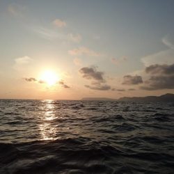 西表島１周オフショア