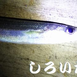 和歌山に行きました！