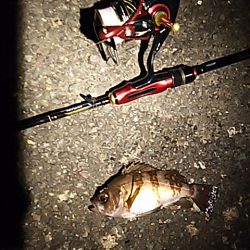 期待してた程では