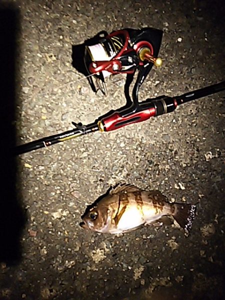 期待してた程では