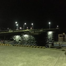 野池フローターからのアジング