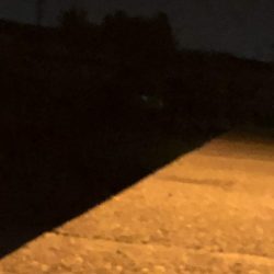 メバちびと遊ぶ