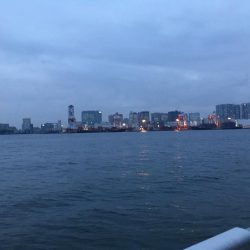 今年初シーバス！