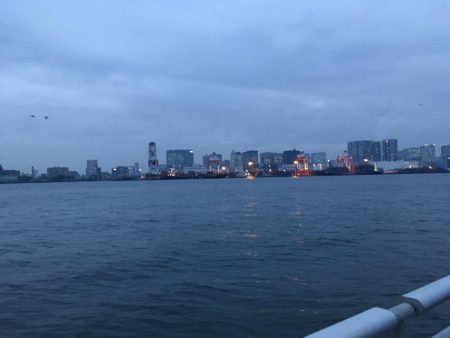 今年初シーバス！