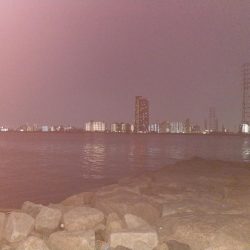 タイリクスズキ?