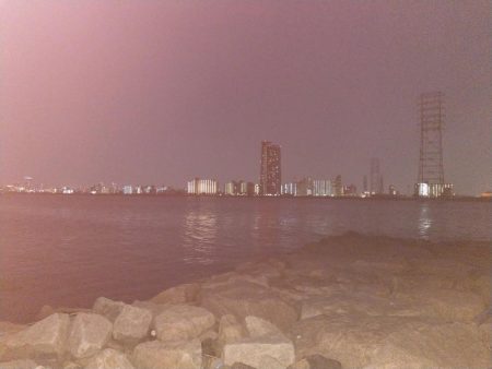 タイリクスズキ?