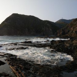 青物釣れねーなー