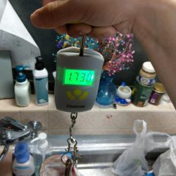 苦手の潮で挑戦