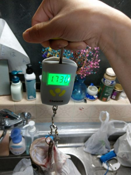 苦手の潮で挑戦