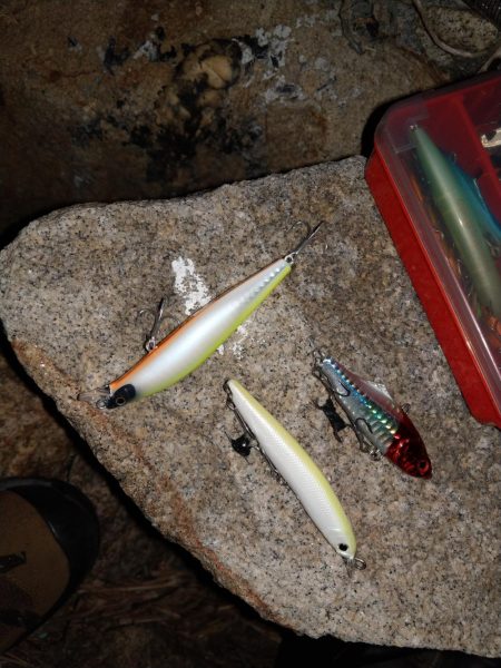 本命は釣れなくてもキミは釣れるよね!?