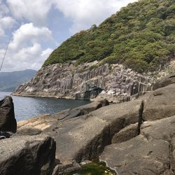 久しぶりにサカナが釣れた。