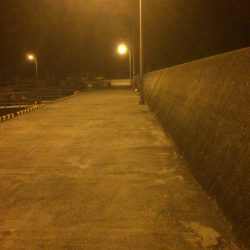 メバルプラッキング