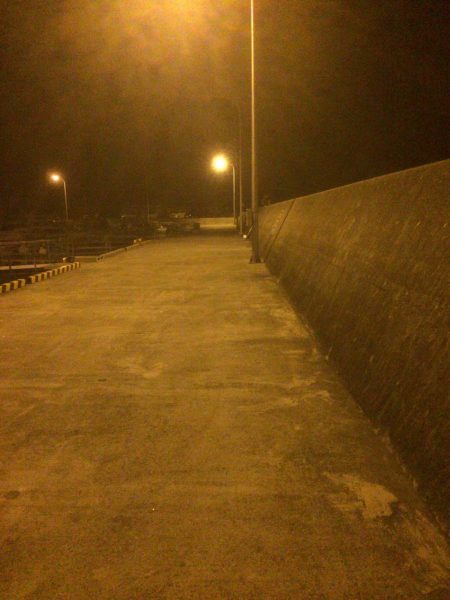 メバルプラッキング