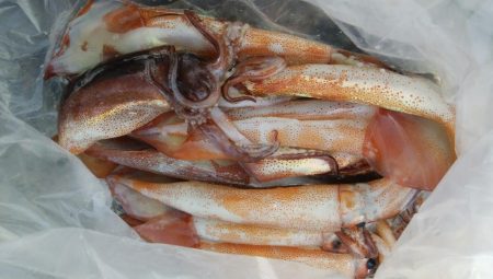 スルメイカ狙い　第二美丸