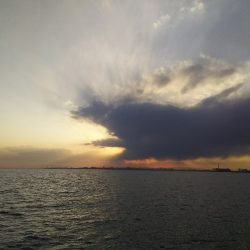 ジグでアカエイ