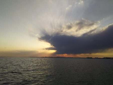 ジグでアカエイ