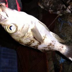 天候不良の前に