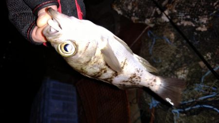 天候不良の前に