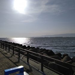 がんばりましたが・・・、