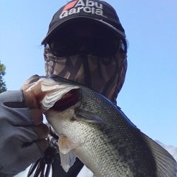 ４月２９日の釣果