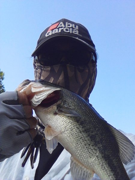 ４月２９日の釣果