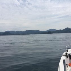 水温も上がってきて活性高まる。