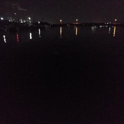 ロックフィッシュ