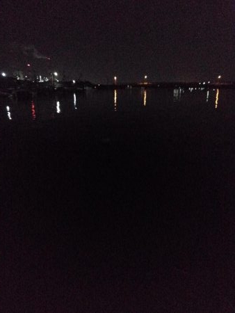 ロックフィッシュ