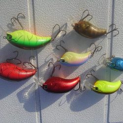 ビックバス狙い