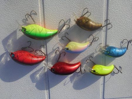 ビックバス狙い