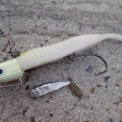 FLAP釣法でメーターちょい超え♪