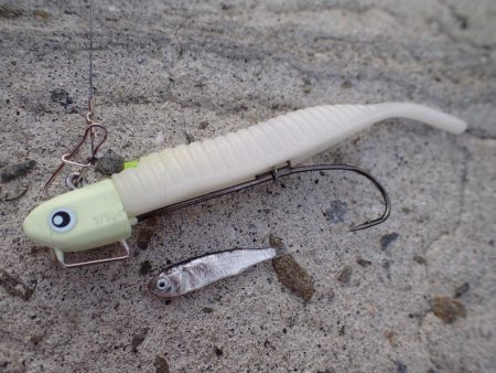 FLAP釣法でメーターちょい超え♪