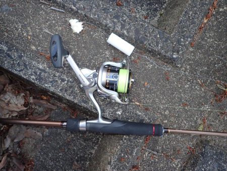 コメ式 パン鯉ゲーム