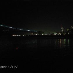 小磯でウキフカセ