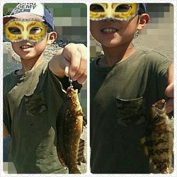 濁り以外は悪くないのに