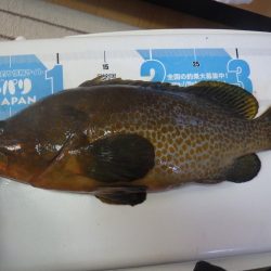 マイカヤック タイラバ