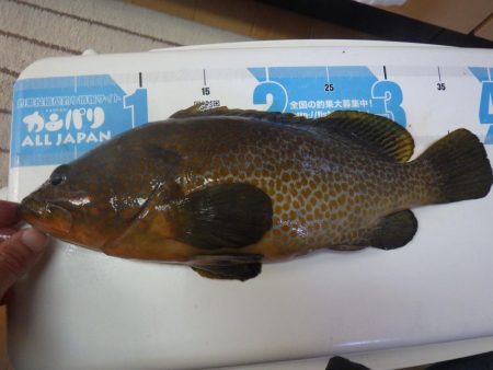 マイカヤック タイラバ