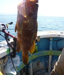 松福丸 釣果
