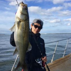 シーマジカル 釣果