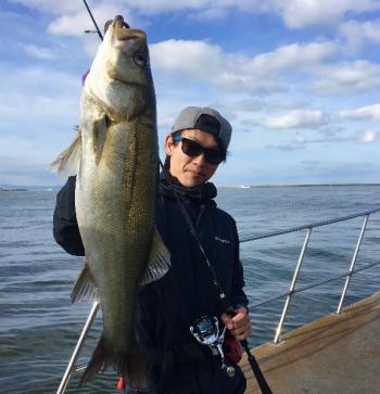 シーマジカル 釣果