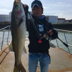 シーマジカル 釣果