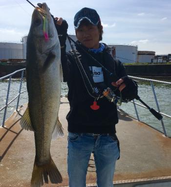 シーマジカル 釣果