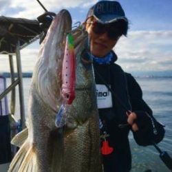 シーマジカル 釣果