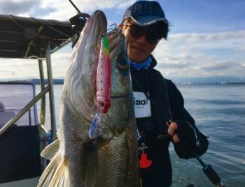 シーマジカル 釣果