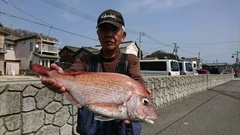まこと渡船 釣果