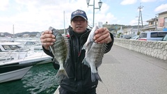 まこと渡船 釣果