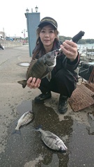 まこと渡船 釣果