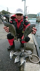 まこと渡船 釣果