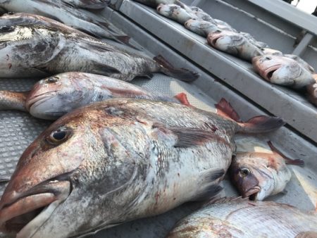 寿裕 （YOSHIHIRO） 釣果